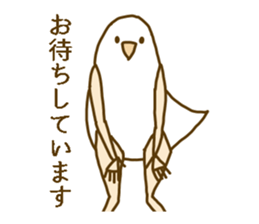 Working Bird Lady, Ms.Bianco sticker #15785622