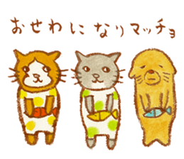 cat matcho talkative matcho sticker #15785802