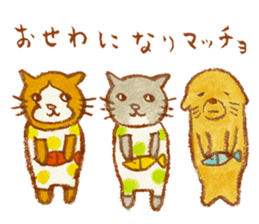 cat matcho talkative matcho sticker #15785802