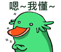 Lovely platypus sticker #15790038