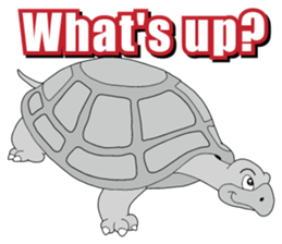 Hustle Tortoise sticker #15791876