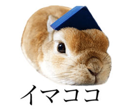 Mr MOQ the Rabbit version.2 sticker #15792610