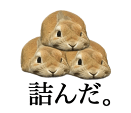 Mr MOQ the Rabbit version.2 sticker #15792611