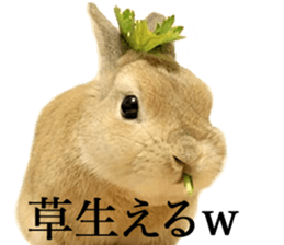 Mr MOQ the Rabbit version.2 sticker #15792612