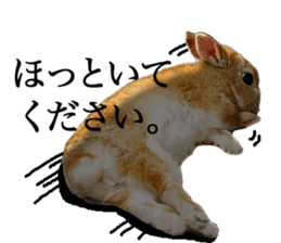 Mr MOQ the Rabbit version.2 sticker #15792614