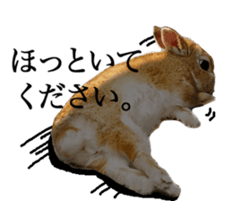 Mr MOQ the Rabbit version.2 sticker #15792614