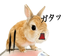 Mr MOQ the Rabbit version.2 sticker #15792616