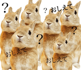 Mr MOQ the Rabbit version.2 sticker #15792617