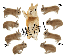 Mr MOQ the Rabbit version.2 sticker #15792618