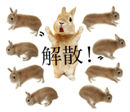 Mr MOQ the Rabbit version.2 sticker #15792619