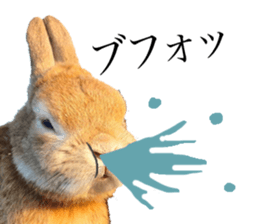 Mr MOQ the Rabbit version.2 sticker #15792620