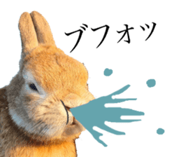 Mr MOQ the Rabbit version.2 sticker #15792620
