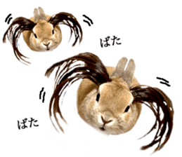 Mr MOQ the Rabbit version.2 sticker #15792621