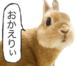 Mr MOQ the Rabbit version.2 sticker #15792625
