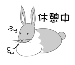cute raabbit sticker #15792890
