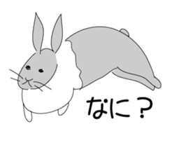 cute raabbit sticker #15792892
