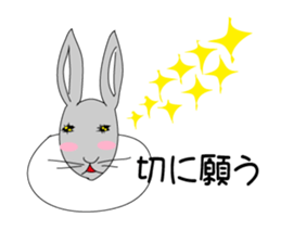 cute raabbit sticker #15792896