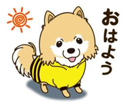 A sticker willingly. Pomeranian Act sticker #15793634