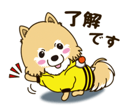 A sticker willingly. Pomeranian Act sticker #15793635