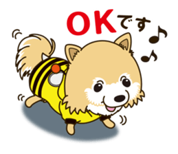 A sticker willingly. Pomeranian Act sticker #15793636