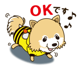 A sticker willingly. Pomeranian Act sticker #15793636