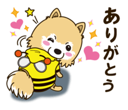 A sticker willingly. Pomeranian Act sticker #15793637