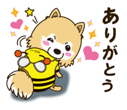 A sticker willingly. Pomeranian Act sticker #15793637