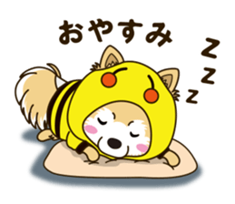 A sticker willingly. Pomeranian Act sticker #15793641