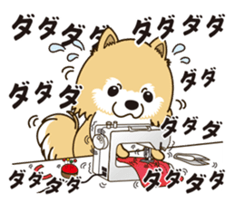 A sticker willingly. Pomeranian Act sticker #15793644