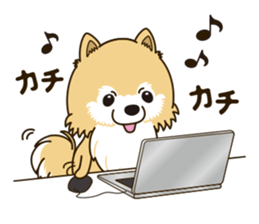 A sticker willingly. Pomeranian Act sticker #15793646