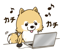 A sticker willingly. Pomeranian Act sticker #15793646