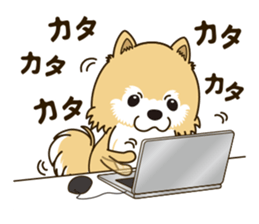 A sticker willingly. Pomeranian Act sticker #15793647