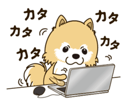 A sticker willingly. Pomeranian Act sticker #15793647