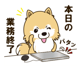 A sticker willingly. Pomeranian Act sticker #15793648