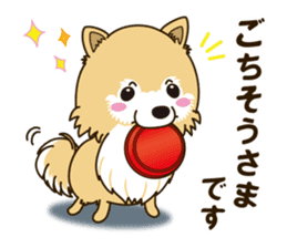 A sticker willingly. Pomeranian Act sticker #15793658