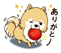 A sticker willingly. Pomeranian Act sticker #15793659