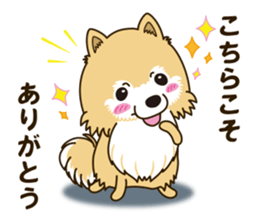 A sticker willingly. Pomeranian Act sticker #15793660