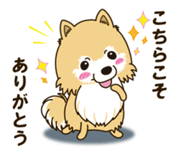 A sticker willingly. Pomeranian Act sticker #15793660