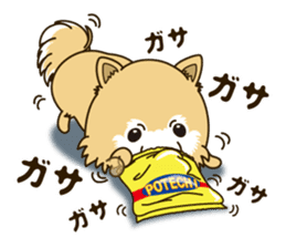 A sticker willingly. Pomeranian Act sticker #15793662