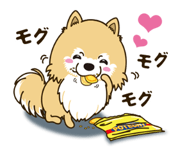 A sticker willingly. Pomeranian Act sticker #15793663