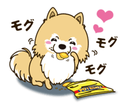 A sticker willingly. Pomeranian Act sticker #15793663