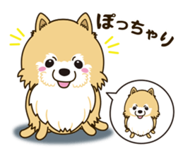 A sticker willingly. Pomeranian Act sticker #15793665