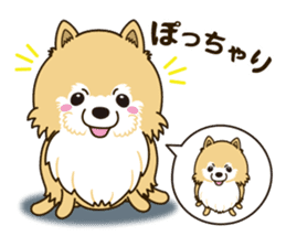 A sticker willingly. Pomeranian Act sticker #15793665