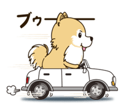 A sticker willingly. Pomeranian Act sticker #15793667