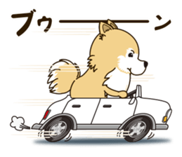 A sticker willingly. Pomeranian Act sticker #15793668