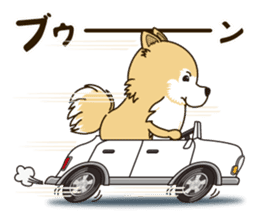 A sticker willingly. Pomeranian Act sticker #15793668