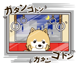 A sticker willingly. Pomeranian Act sticker #15793671