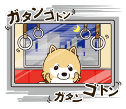 A sticker willingly. Pomeranian Act sticker #15793671