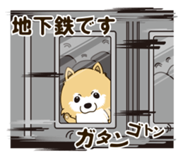 A sticker willingly. Pomeranian Act sticker #15793672