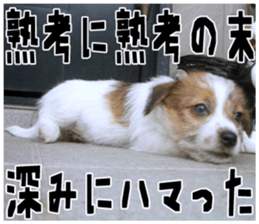 MIEDOG Jack Russell terrier sticker 18 sticker #15794788